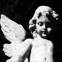 Cold Cave - Passion Depression in the group VINYL / Pop-Rock at Bengans Skivbutik AB (5642548)