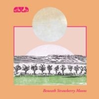 Gulp - Beneath Strawberry Moons in the group VINYL / Pop-Rock at Bengans Skivbutik AB (5642597)
