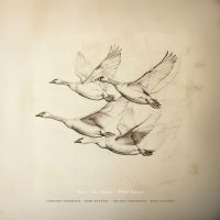 Josefine Cronholm Kirk Knuffke Mfl - Near The Pond: Wild Geese (180G.) in the group VINYL / Jazz at Bengans Skivbutik AB (5643010)