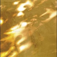 Svaneborg Kardyb - Haven in the group VINYL / Bestsellers at Bengans Skivbutik AB (5643105)
