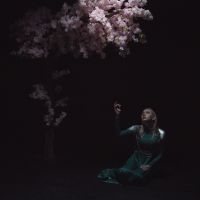 Daedric - As The Light Left in the group OUR PICKS / Friday Releases / 2025-10-24 at Bengans Skivbutik AB (5643433)