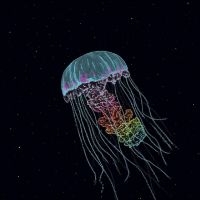 The Drowning World - Passive Margins in the group VINYL / Pop-Rock at Bengans Skivbutik AB (5643494)