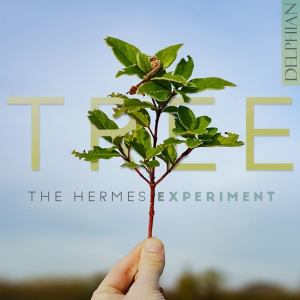 The Hermes Experiment - Tree in the group OUR PICKS / Friday Releases / 2025-10-17 at Bengans Skivbutik AB (5643586)