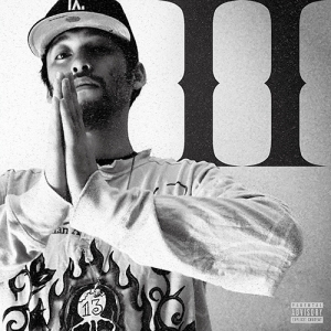 Aiwabeatz - Like No Other Ii in the group VINYL / J-Pop at Bengans Skivbutik AB (5643903)