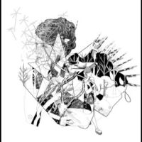 Jesca Hoop - Selective Memory in the group OUR PICKS / Friday Releases / 2025-10-24 at Bengans Skivbutik AB (5643966)