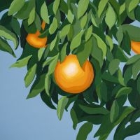 Tyler Ballgame - For The First Time Again (Orange Ma in the group VINYL / Upcoming releases / Pop-Rock at Bengans Skivbutik AB (5644251)