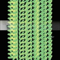 Daphni - Jiaolong in the group OUR PICKS / Friday Releases / 2025-10-24 at Bengans Skivbutik AB (5644328)