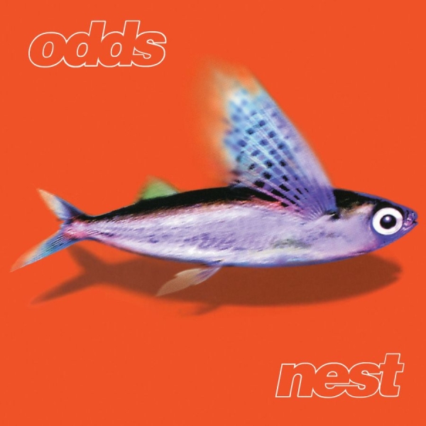 Odds - Nest in the group OUR PICKS / Friday Releases / 2025-11-21 at Bengans Skivbutik AB (5644339)