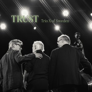 Trio X Of Sweden - Trust in the group OUR PICKS / Friday Releases / 2025-11-07 at Bengans Skivbutik AB (5644441)