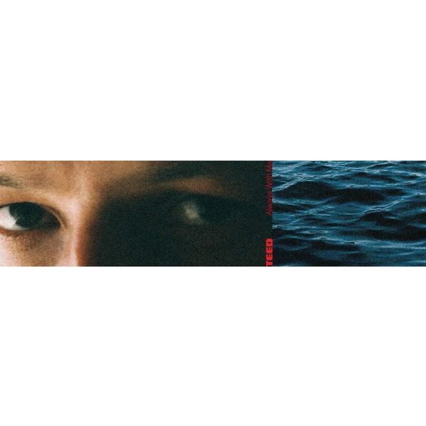Teed - Always With Me (Black Lp) in the group VINYL / Pop-Rock at Bengans Skivbutik AB (5645216)