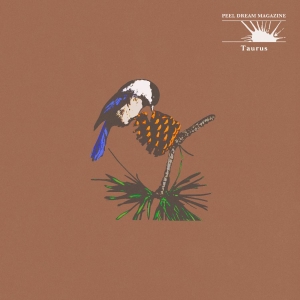 Peel Dream Magazine - Taurus (Yellow Tinted Transparent C in the group OUR PICKS / Friday Releases / 2025-11-28 at Bengans Skivbutik AB (5645247)