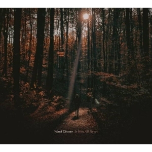 Ward Dhoore - It Was All Heart in the group CD / Pop-Rock at Bengans Skivbutik AB (5645430)