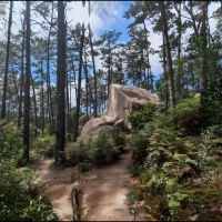 Parajekt - Parajekt in the group VINYL / Upcoming releases / Pop-Rock at Bengans Skivbutik AB (5645559)