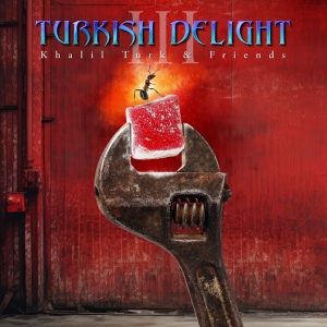 Various Artists - Turkish Delight Volume Three in the group OUR PICKS / Friday Releases / 2025-11-07 at Bengans Skivbutik AB (5645566)