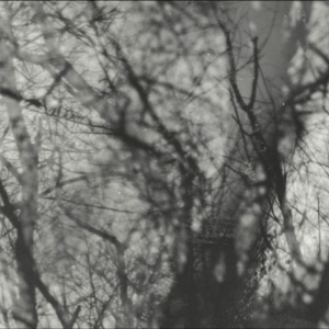 Grouper - Way Their Crept in the group OUR PICKS / Friday Releases / 2025-11-21 at Bengans Skivbutik AB (5645864)