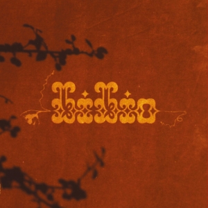 Bibio - Ovals & Emeralds (GREEN VINYL) in the group VINYL / Pop-Rock at Bengans Skivbutik AB (5645953)