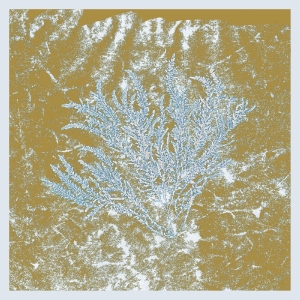 Huerco S. - For Those Of You Who Have Never in the group VINYL / Dance-Techno at Bengans Skivbutik AB (5645982)