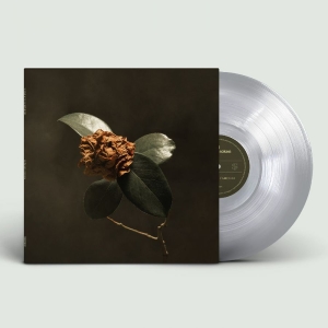 St. Paul & The Broken Bones - Young Sick Camellia in the group VINYL / New releases / Pop-Rock at Bengans Skivbutik AB (5646051)