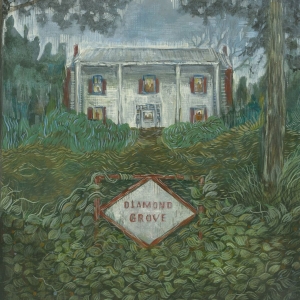 Weirs - Diamond Grove in the group OUR PICKS / Friday Releases / 2025-10-31 at Bengans Skivbutik AB (5646106)