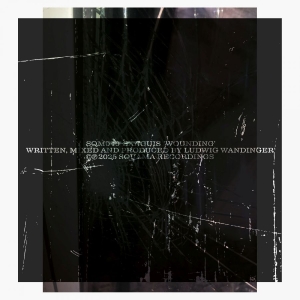 Sanguis - Wounding in the group OUR PICKS / Friday Releases / 2025-11-07 at Bengans Skivbutik AB (5646886)