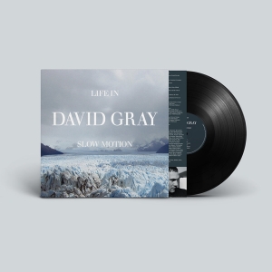 David Gray - Life In Slow Motion (20Th Anniversary Vinyl) in the group OUR PICKS / Friday Releases / 2025-11-07 at Bengans Skivbutik AB (5647001)
