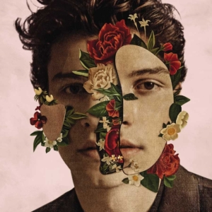Shawn Mendes - Shawn Mendes in the group OTHER / -Start Uni-CD at Bengans Skivbutik AB (5647182)