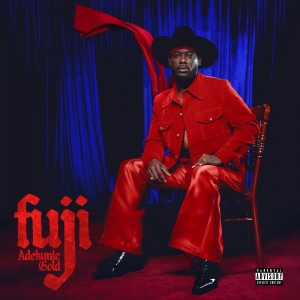 Adekunle Gold - Fuji in the group VINYL / Upcoming releases / Pop-Rock at Bengans Skivbutik AB (5647358)