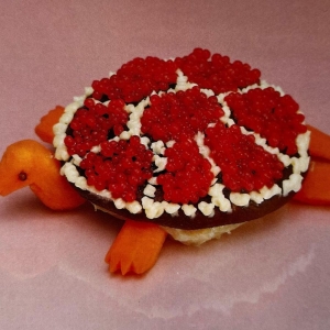 Sharp Pins - Turtle Rock in the group OUR PICKS / Friday Releases / 2025-10-31 at Bengans Skivbutik AB (5647466)