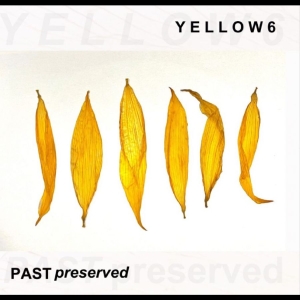 Yellow6 - Past Preserved in the group OUR PICKS / Friday Releases / 2025-11-28 at Bengans Skivbutik AB (5648605)