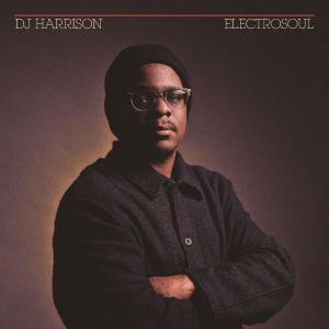 Harrison Dj - Electrosoul in the group VINYL / Upcoming releases / Pop-Rock at Bengans Skivbutik AB (5648888)