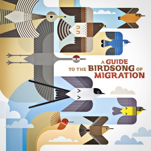 Various Artists - A Guide To The Birdsong Of Migratio in the group CD / Pop-Rock at Bengans Skivbutik AB (5650073)