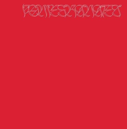 Nicolás Jaar - Pomegranates in the group VINYL / Pop-Rock at Bengans Skivbutik AB (5650097)