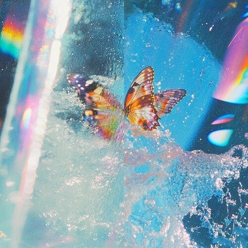 Daphni - Butterfly in the group CD / Bestsellers at Bengans Skivbutik AB (5650098)