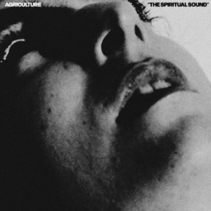 Agriculture - The Spiritual Sound in the group VINYL at Bengans Skivbutik AB (5650606)