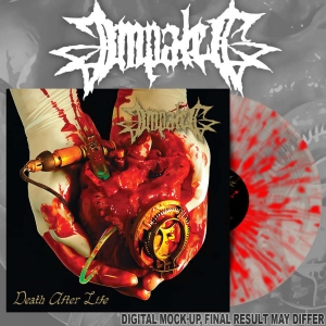 Impaled - Death After Life (Splatter Vinyl Lp in the group VINYL / Upcoming releases / Hårdrock at Bengans Skivbutik AB (5651660)
