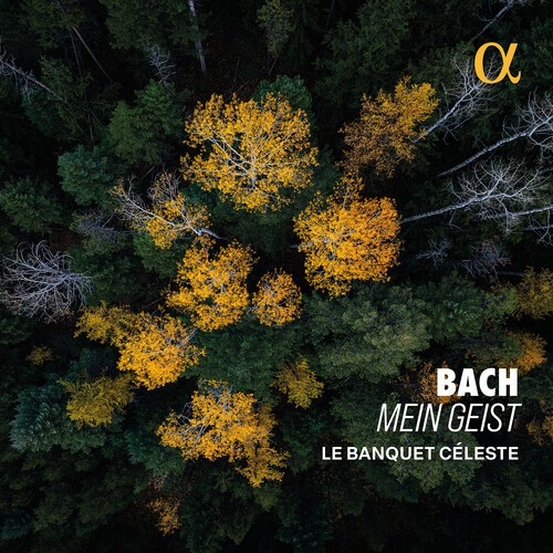 Bach J S - Mein Geist in the group CD at Bengans Skivbutik AB (5651732)