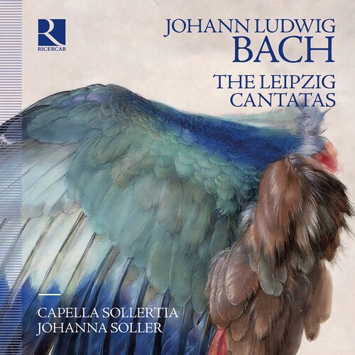 Bach J L - The Leipzig Cantatas in the group CD / Klassiskt at Bengans Skivbutik AB (5651772)