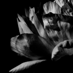 Louise Roam - Là Où Passe La Nuit in the group CD / Upcoming releases / Pop-Rock at Bengans Skivbutik AB (5651862)