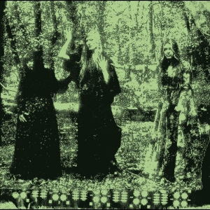 Tristwch Y Fenywod - Tristwch Y Fenywod in the group VINYL / Pop-Rock at Bengans Skivbutik AB (5652059)