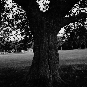 Archy Marshall - A New Place 2 Drown (Instrumentals) in the group OUR PICKS / Friday Releases / 2026-01-16 at Bengans Skivbutik AB (5652185)