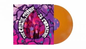 Crystal Teardrop The - Is Forming (Orange Vinyl Lp) in the group OUR PICKS / Friday Releases / 2026-01-09 at Bengans Skivbutik AB (5652325)