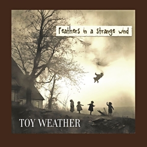 Toy Weather - Feathers In A Strange Wind in the group VINYL / Upcoming releases / Pop-Rock at Bengans Skivbutik AB (5652688)