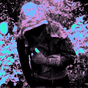 Lunacy - The Crisis Of Existence (Fog Clear in the group VINYL / Upcoming releases / Pop-Rock at Bengans Skivbutik AB (5652848)