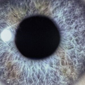 Swanö Dan - Moontower (Re-Issue) in the group OTHER / Kommande - alla format at Bengans Skivbutik AB (5653693)