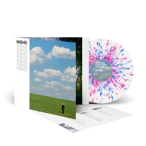 Lantlos - Nowhere In Between Forever (Splatte in the group VINYL / Upcoming releases / Pop-Rock at Bengans Skivbutik AB (5654032)