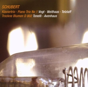 Lars Vogt & Antje Weithaas & Christian Tetzlaff - Schubert: Klaviertrio - Piano Trio No. 1/Trockne Blumen D 802 in the group CD / Klassiskt at Bengans Skivbutik AB (5654289)