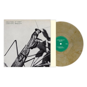 Courtney Barnett - Creature Of Habit (Caramel Color Vinyl) in the group VINYL / Upcoming releases / Pop-Rock at Bengans Skivbutik AB (5654976)