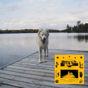 Jaguar Sun - Daisy (Black And Yellow Swirl Vinyl in the group VINYL / Upcoming releases / Pop-Rock at Bengans Skivbutik AB (5655170)