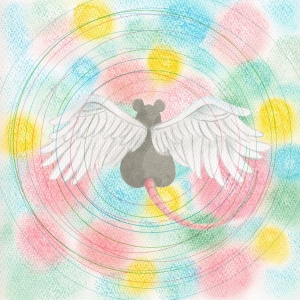 Mei Semones - Animaru in the group VINYL / Pop-Rock at Bengans Skivbutik AB (5655626)