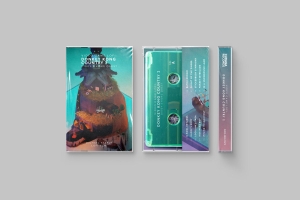 Michael Staple - Video Game Lofi: Donkey Kong Country 2: Diddy's Kong Quest (Clear in the group  at Bengans Skivbutik AB (5655766)